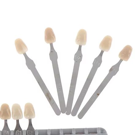 도자기 치과 재료 장비 세트 치아 미백 VITA Pan - Teeth Whitening Kit At Home 리뷰 및 가격